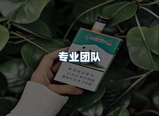 专业团队